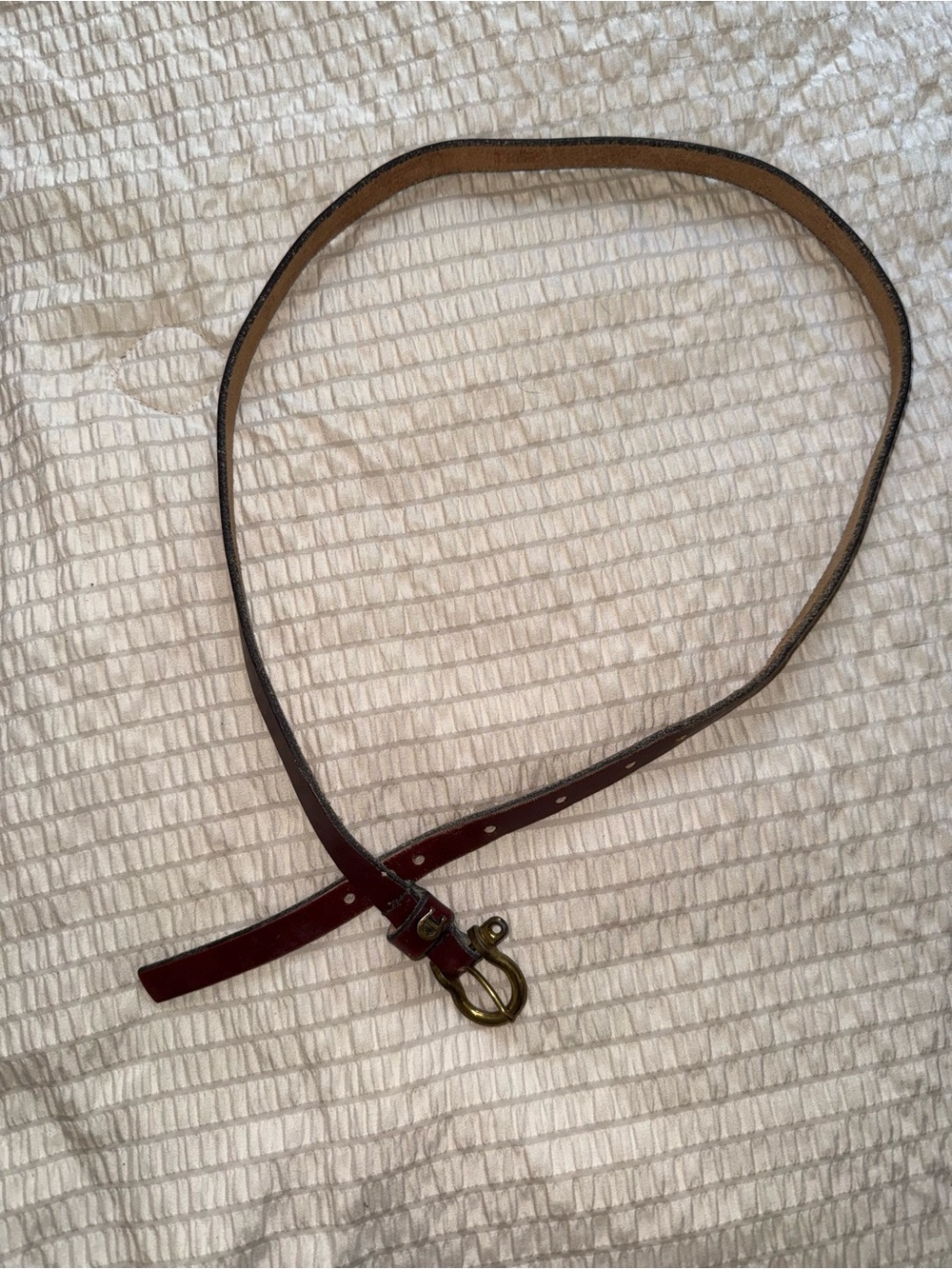 Vintage Etienne Aigner Brown Leather Skinny Belt Horse-bit Buckle